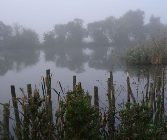 Flag Fen, England - site of a timber trackway and platforms built over water during the Neolithic and Bronze Age, associated with ritual water deposits 
