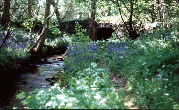 The Kewaigue (Oakhill) 'Fairy Bridge' in the Isle of Man. It was built off the main track by about 30 yards, and sits mysteriously among the trees...