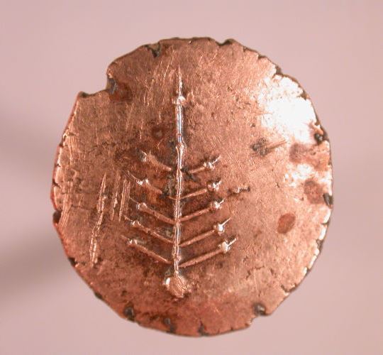 The branch is a particular symbol found on the 'Anted Rig' British celtic gold staters.